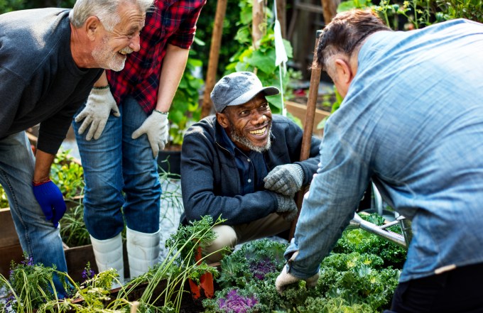 Group of people planting vegetable in greenhouse
