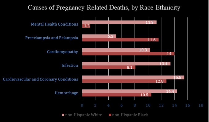 blog-maternal-mortality-racial-disparities-chart2